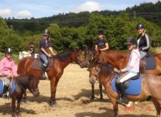 Caballo en Cornillon Confoux 